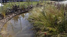 A wildflower meadow sits within a treacherous moat.