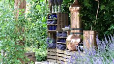 A circular walkway leads to a hut where dried lavender is stored.