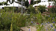 The Working Wetlands Garden provides a solution to the problem of flash flooding caused by urban run-off.