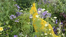 Hybrid plants illustrate the wide range of dogs you are likely to meet at a Dog’s Trust rehoming centre.