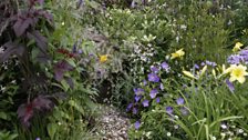 This garden offers a semi-floral contemporary space for both people and dogs.