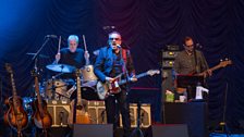 Henley Festival: Elvis Costello