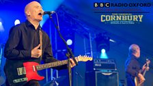 Cornbury: Wilko Johnson on stage