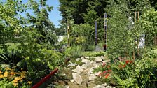 Best Evolution Garden - "Plant Evolution" designed by Michael Vinsun