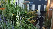 Coastal Retreat - built by Ewan Sewell, planting by Lydia Mackay