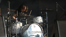 Standon Calling: Blossoms