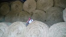 A roll in the hay?