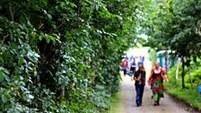 Sunflower Fest 2016