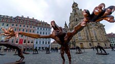 Before Berlin, the wolves were on display in Dresden.