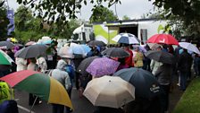 A Sea of Brollies