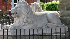 Other local lions!