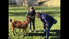 Andy Kershaw and Elizabeth LaPrelle