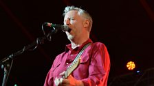 Towersey Festival 2016: Billy Bragg