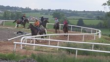 Racehorse Training