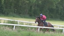 Racehorse Training