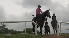 Racehorse Training