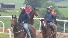 Racehorse Training