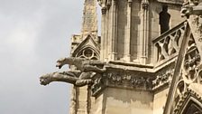 Gargoyles on Notre Dame