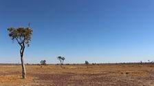 Queensland drought