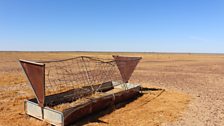 Cattle trough