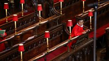 A Westminster Abbey Chorister in the quire