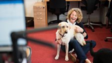 Kate plays with the dogs at the Biodetection centre