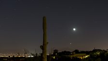 Venus and Crescent Moon