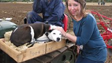 Anna also got to meet this four-legged friend!