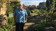 A Community Garden