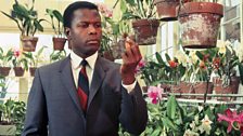 Sidney Poitier (In the Heat of the Night, 1967)