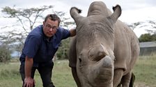 Saving Africa’s Elephants: Hugh and the Ivory War