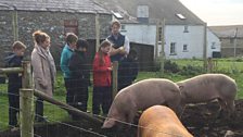 Lower Treginnis Farm