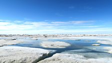 Spring Sea ice in Barrow, Alaska