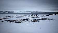 Cape Dorset open water