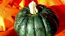 Zapallito de Toscana Squash