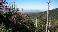 Blue skies over Smoky Mountain