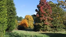 The Arboretum, Stour valley