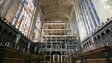 Organ in scaffolding