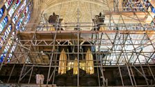 Organ surrounded by scaffolding