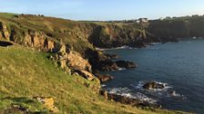 Lizard Point