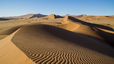 Some of the oldest and largest sand dunes in the world.