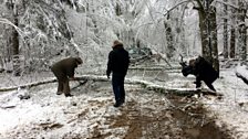 Tha làmhag feumail a bhith na do chois ann am Białowieża sa gheamhradh