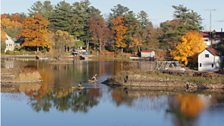 Fall colours in Ontario