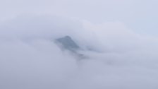 Mountain mist