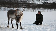 Gordon with a reindeer