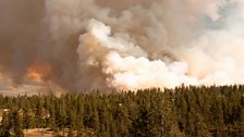 In 2016 one hundred square miles of the Greater Yellowstone Region was burned in the worst wildfires for 25 years.