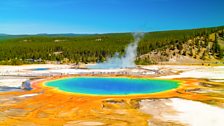 The rainbow colours of Grand Prismatic Spring in Yellowstone are caused by microbes that each live at different temperatures.