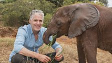 Gordon Buchanan with an orphaned baby elephant at the David Sheldrick Wildlife Trust in Kenya.