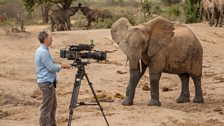 Gordon with a young elephant.