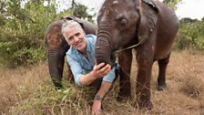 Gordon Buchanan with two orphaned baby elephants at the David Sheldrick Wildlife Trust in Kenya.